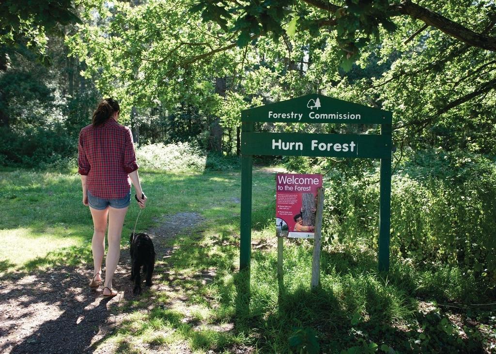 Oakdene Forest Ferndown Bagian luar foto