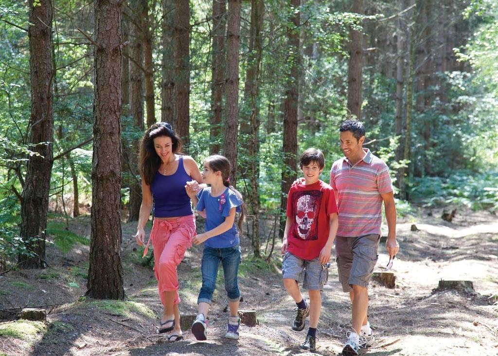 Oakdene Forest Ferndown Bagian luar foto